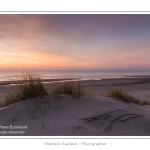 Coucher de soleil sur les dunes entre Fort-Mahon et la Baie d'Authie - Peu Ã  peu le soleil disparait Ã  l'horizon et colore le ciel au dessus des dunes du Marquenterre. Saison : Hiver - Lieu :  Fort-Mahon, cÃ´te Picarde, Somme, Picardie, France