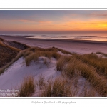 Coucher de soleil sur les dunes entre Fort-Mahon et la Baie d'Authie - Peu Ã  peu le soleil disparait Ã  l'horizon et colore le ciel au dessus des dunes du Marquenterre. Saison : Hiver - Lieu :  Fort-Mahon, cÃ´te Picarde, Somme, Picardie, France