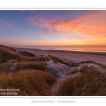 Coucher de soleil sur les dunes entre Fort-Mahon et la Baie d'Authie - Peu Ã  peu le soleil disparait Ã  l'horizon et colore le ciel au dessus des dunes du Marquenterre. Saison : Hiver - Lieu :  Fort-Mahon, cÃ´te Picarde, Somme, Picardie, France