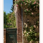 Gerberoy_18_06_2017_042-border