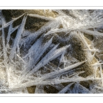 Vague de froid sur la Baie de Somme