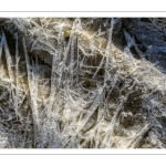 Vague de froid sur la Baie de Somme