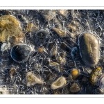 Vague de froid sur la Baie de Somme