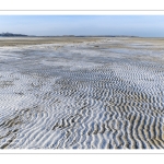 Vague de froid sur la Baie de Somme