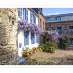 La glycine rue de la Porte de Nevers à Saint-Valery