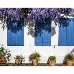 La glycine rue de la Porte de Nevers à Saint-Valery