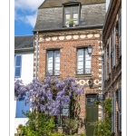 La glycine rue de la Porte de Nevers à Saint-Valery
