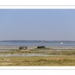 Grande marée en baie de Somme au Cap Hornu (Saint-Valery-sur-Somme)