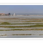 Grande marée en baie de Somme au Cap Hornu (Saint-Valery-sur-Somme)