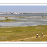 Grande marée en baie de Somme au Cap Hornu (Saint-Valery-sur-Somme)