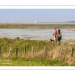 Grande marée en baie de Somme au Cap Hornu (Saint-Valery-sur-Somme)