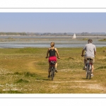 Grande marée en baie de Somme au Cap Hornu (Saint-Valery-sur-Somme)