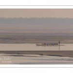 France, Somme (80), Baie de Somme, Le Hourdel, Pirogues indonésienne et canoé-kayak lors des grandes marées; les embarcations viennent attendre le flot et le mascaret à l'entrée de la baie et remontent ensuite aidées du fort courant, parfois accompagnés des phoques; certains échoue leur embarcation sur les bancs de sable pour regarder passer les oiseaux délogés par la marée // France, Somme (80), Bay of the Somme, Le Hourdel, Indonesian canoes and canoe-kayak during high tides; the boats come to wait for the flow and the tidal bore at the entrance of the bay and then go up helped by the strong current, sometimes accompanied by the seals; some fail their boat on the sandbanks to watch the birds dislodged by the tide