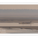 France, Somme (80), Baie de Somme, Le Hourdel, Pirogues indonésienne et canoé-kayak lors des grandes marées; les embarcations viennent attendre le flot et le mascaret à l'entrée de la baie et remontent ensuite aidées du fort courant, parfois accompagnés des phoques; certains échoue leur embarcation sur les bancs de sable pour regarder passer les oiseaux délogés par la marée // France, Somme (80), Bay of the Somme, Le Hourdel, Indonesian canoes and canoe-kayak during high tides; the boats come to wait for the flow and the tidal bore at the entrance of the bay and then go up helped by the strong current, sometimes accompanied by the seals; some fail their boat on the sandbanks to watch the birds dislodged by the tide