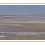 France, Somme (80), Baie de Somme, Le Hourdel, Pirogues indonésienne et canoé-kayak lors des grandes marées; les embarcations viennent attendre le flot et le mascaret à l'entrée de la baie et remontent ensuite aidées du fort courant, parfois accompagnés des phoques; certains échoue leur embarcation sur les bancs de sable pour regarder passer les oiseaux délogés par la marée // France, Somme (80), Bay of the Somme, Le Hourdel, Indonesian canoes and canoe-kayak during high tides; the boats come to wait for the flow and the tidal bore at the entrance of the bay and then go up helped by the strong current, sometimes accompanied by the seals; some fail their boat on the sandbanks to watch the birds dislodged by the tide