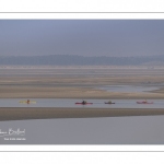 France, Somme (80), Baie de Somme, Le Hourdel, Pirogues indonésienne et canoé-kayak lors des grandes marées; les embarcations viennent attendre le flot et le mascaret à l'entrée de la baie et remontent ensuite aidées du fort courant, parfois accompagnés des phoques; certains échoue leur embarcation sur les bancs de sable pour regarder passer les oiseaux délogés par la marée // France, Somme (80), Bay of the Somme, Le Hourdel, Indonesian canoes and canoe-kayak during high tides; the boats come to wait for the flow and the tidal bore at the entrance of the bay and then go up helped by the strong current, sometimes accompanied by the seals; some fail their boat on the sandbanks to watch the birds dislodged by the tide