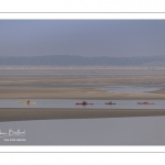 France, Somme (80), Baie de Somme, Le Hourdel, Pirogues indonésienne et canoé-kayak lors des grandes marées; les embarcations viennent attendre le flot et le mascaret à l'entrée de la baie et remontent ensuite aidées du fort courant, parfois accompagnés des phoques; certains échoue leur embarcation sur les bancs de sable pour regarder passer les oiseaux délogés par la marée // France, Somme (80), Bay of the Somme, Le Hourdel, Indonesian canoes and canoe-kayak during high tides; the boats come to wait for the flow and the tidal bore at the entrance of the bay and then go up helped by the strong current, sometimes accompanied by the seals; some fail their boat on the sandbanks to watch the birds dislodged by the tide