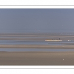 France, Somme (80), Baie de Somme, Le Hourdel, Pirogues indonésienne et canoé-kayak lors des grandes marées; les embarcations viennent attendre le flot et le mascaret à l'entrée de la baie et remontent ensuite aidées du fort courant, parfois accompagnés des phoques; certains échoue leur embarcation sur les bancs de sable pour regarder passer les oiseaux délogés par la marée // France, Somme (80), Bay of the Somme, Le Hourdel, Indonesian canoes and canoe-kayak during high tides; the boats come to wait for the flow and the tidal bore at the entrance of the bay and then go up helped by the strong current, sometimes accompanied by the seals; some fail their boat on the sandbanks to watch the birds dislodged by the tide