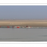 France, Somme (80), Baie de Somme, Le Hourdel, Pirogues indonésienne et canoé-kayak lors des grandes marées; les embarcations viennent attendre le flot et le mascaret à l'entrée de la baie et remontent ensuite aidées du fort courant, parfois accompagnés des phoques; certains échoue leur embarcation sur les bancs de sable pour regarder passer les oiseaux délogés par la marée // France, Somme (80), Bay of the Somme, Le Hourdel, Indonesian canoes and canoe-kayak during high tides; the boats come to wait for the flow and the tidal bore at the entrance of the bay and then go up helped by the strong current, sometimes accompanied by the seals; some fail their boat on the sandbanks to watch the birds dislodged by the tide