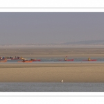 France, Somme (80), Baie de Somme, Le Hourdel, Pirogues indonésienne et canoé-kayak lors des grandes marées; les embarcations viennent attendre le flot et le mascaret à l'entrée de la baie et remontent ensuite aidées du fort courant, parfois accompagnés des phoques; certains échoue leur embarcation sur les bancs de sable pour regarder passer les oiseaux délogés par la marée // France, Somme (80), Bay of the Somme, Le Hourdel, Indonesian canoes and canoe-kayak during high tides; the boats come to wait for the flow and the tidal bore at the entrance of the bay and then go up helped by the strong current, sometimes accompanied by the seals; some fail their boat on the sandbanks to watch the birds dislodged by the tide