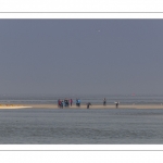 France, Somme (80), Baie de Somme, Le Hourdel, Pirogues indonésienne et canoé-kayak lors des grandes marées; les embarcations viennent attendre le flot et le mascaret à l'entrée de la baie et remontent ensuite aidées du fort courant, parfois accompagnés des phoques; certains échoue leur embarcation sur les bancs de sable pour regarder passer les oiseaux délogés par la marée // France, Somme (80), Bay of the Somme, Le Hourdel, Indonesian canoes and canoe-kayak during high tides; the boats come to wait for the flow and the tidal bore at the entrance of the bay and then go up helped by the strong current, sometimes accompanied by the seals; some fail their boat on the sandbanks to watch the birds dislodged by the tide