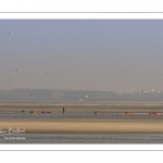 France, Somme (80), Baie de Somme, Le Hourdel, Pirogues indonésienne et canoé-kayak lors des grandes marées; les embarcations viennent attendre le flot et le mascaret à l'entrée de la baie et remontent ensuite aidées du fort courant, parfois accompagnés des phoques; certains échoue leur embarcation sur les bancs de sable pour regarder passer les oiseaux délogés par la marée // France, Somme (80), Bay of the Somme, Le Hourdel, Indonesian canoes and canoe-kayak during high tides; the boats come to wait for the flow and the tidal bore at the entrance of the bay and then go up helped by the strong current, sometimes accompanied by the seals; some fail their boat on the sandbanks to watch the birds dislodged by the tide