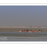 France, Somme (80), Baie de Somme, Le Hourdel, Pirogues indonésienne et canoé-kayak lors des grandes marées; les embarcations viennent attendre le flot et le mascaret à l'entrée de la baie et remontent ensuite aidées du fort courant, parfois accompagnés des phoques; certains échoue leur embarcation sur les bancs de sable pour regarder passer les oiseaux délogés par la marée // France, Somme (80), Bay of the Somme, Le Hourdel, Indonesian canoes and canoe-kayak during high tides; the boats come to wait for the flow and the tidal bore at the entrance of the bay and then go up helped by the strong current, sometimes accompanied by the seals; some fail their boat on the sandbanks to watch the birds dislodged by the tide