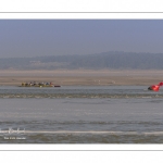 France, Somme (80), Baie de Somme, Le Hourdel, Pirogues indonésienne et canoé-kayak lors des grandes marées; les embarcations viennent attendre le flot et le mascaret à l'entrée de la baie et remontent ensuite aidées du fort courant, parfois accompagnés des phoques; certains échoue leur embarcation sur les bancs de sable pour regarder passer les oiseaux délogés par la marée // France, Somme (80), Bay of the Somme, Le Hourdel, Indonesian canoes and canoe-kayak during high tides; the boats come to wait for the flow and the tidal bore at the entrance of the bay and then go up helped by the strong current, sometimes accompanied by the seals; some fail their boat on the sandbanks to watch the birds dislodged by the tide