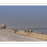 France, Somme (80), Baie de Somme, Le Hourdel, Pirogues indonésienne et canoé-kayak lors des grandes marées; les embarcations viennent attendre le flot et le mascaret à l'entrée de la baie et remontent ensuite aidées du fort courant, parfois accompagnés des phoques; certains échoue leur embarcation sur les bancs de sable pour regarder passer les oiseaux délogés par la marée // France, Somme (80), Bay of the Somme, Le Hourdel, Indonesian canoes and canoe-kayak during high tides; the boats come to wait for the flow and the tidal bore at the entrance of the bay and then go up helped by the strong current, sometimes accompanied by the seals; some fail their boat on the sandbanks to watch the birds dislodged by the tide