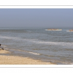 France, Somme (80), Baie de Somme, Le Hourdel, Pirogues indonésienne et canoé-kayak lors des grandes marées; les embarcations viennent attendre le flot et le mascaret à l'entrée de la baie et remontent ensuite aidées du fort courant, parfois accompagnés des phoques; certains échoue leur embarcation sur les bancs de sable pour regarder passer les oiseaux délogés par la marée // France, Somme (80), Bay of the Somme, Le Hourdel, Indonesian canoes and canoe-kayak during high tides; the boats come to wait for the flow and the tidal bore at the entrance of the bay and then go up helped by the strong current, sometimes accompanied by the seals; some fail their boat on the sandbanks to watch the birds dislodged by the tide