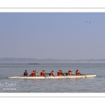 France, Somme (80), Baie de Somme, Le Hourdel, Pirogues indonésienne et canoé-kayak lors des grandes marées; les embarcations viennent attendre le flot et le mascaret à l'entrée de la baie et remontent ensuite aidées du fort courant, parfois accompagnés des phoques; certains échoue leur embarcation sur les bancs de sable pour regarder passer les oiseaux délogés par la marée // France, Somme (80), Bay of the Somme, Le Hourdel, Indonesian canoes and canoe-kayak during high tides; the boats come to wait for the flow and the tidal bore at the entrance of the bay and then go up helped by the strong current, sometimes accompanied by the seals; some fail their boat on the sandbanks to watch the birds dislodged by the tide