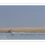 France, Somme (80), Baie de Somme, Le Hourdel, Pirogues indonésienne et canoé-kayak lors des grandes marées; les embarcations viennent attendre le flot et le mascaret à l'entrée de la baie et remontent ensuite aidées du fort courant, parfois accompagnés des phoques; certains échoue leur embarcation sur les bancs de sable pour regarder passer les oiseaux délogés par la marée // France, Somme (80), Bay of the Somme, Le Hourdel, Indonesian canoes and canoe-kayak during high tides; the boats come to wait for the flow and the tidal bore at the entrance of the bay and then go up helped by the strong current, sometimes accompanied by the seals; some fail their boat on the sandbanks to watch the birds dislodged by the tide