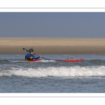 France, Somme (80), Baie de Somme, Le Hourdel, Pirogues indonésienne et canoé-kayak lors des grandes marées; les embarcations viennent attendre le flot et le mascaret à l'entrée de la baie et remontent ensuite aidées du fort courant, parfois accompagnés des phoques; certains échoue leur embarcation sur les bancs de sable pour regarder passer les oiseaux délogés par la marée // France, Somme (80), Bay of the Somme, Le Hourdel, Indonesian canoes and canoe-kayak during high tides; the boats come to wait for the flow and the tidal bore at the entrance of the bay and then go up helped by the strong current, sometimes accompanied by the seals; some fail their boat on the sandbanks to watch the birds dislodged by the tide