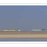 France, Somme (80), Baie de Somme, Le Hourdel, Pirogues indonésienne et canoé-kayak lors des grandes marées; les embarcations viennent attendre le flot et le mascaret à l'entrée de la baie et remontent ensuite aidées du fort courant, parfois accompagnés des phoques; certains échoue leur embarcation sur les bancs de sable pour regarder passer les oiseaux délogés par la marée // France, Somme (80), Bay of the Somme, Le Hourdel, Indonesian canoes and canoe-kayak during high tides; the boats come to wait for the flow and the tidal bore at the entrance of the bay and then go up helped by the strong current, sometimes accompanied by the seals; some fail their boat on the sandbanks to watch the birds dislodged by the tide
