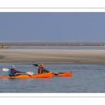 France, Somme (80), Baie de Somme, Le Hourdel, Pirogues indonésienne et canoé-kayak lors des grandes marées; les embarcations viennent attendre le flot et le mascaret à l'entrée de la baie et remontent ensuite aidées du fort courant, parfois accompagnés des phoques; certains échoue leur embarcation sur les bancs de sable pour regarder passer les oiseaux délogés par la marée // France, Somme (80), Bay of the Somme, Le Hourdel, Indonesian canoes and canoe-kayak during high tides; the boats come to wait for the flow and the tidal bore at the entrance of the bay and then go up helped by the strong current, sometimes accompanied by the seals; some fail their boat on the sandbanks to watch the birds dislodged by the tide