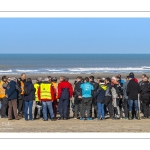 Grand Prix char-à-voile de Berck-sur-mer, Classe 2, 3, Formule A, Standart.