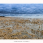 Grande_Maree_Le_Crotoy_21_03_2015_002-border.jpg