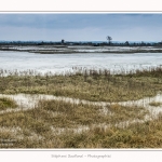 Grande_Maree_Le_Hourdel_22_03_2015_002-border.jpg