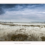 Grande_Maree_Le_Hourdel_22_03_2015_003-border.jpg
