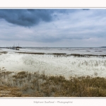 Grande_Maree_Le_Hourdel_22_03_2015_004-border.jpg