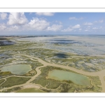 Grande marée en baie de Somme - coefficient de 104