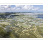 Grande marée en baie de Somme - coefficient de 104