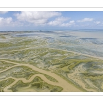 Grande marée en baie de Somme - coefficient de 104