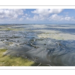 Grande marée en baie de Somme - coefficient de 104