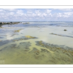 Grande marée en baie de Somme - coefficient de 104