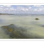 Grande marée en baie de Somme - coefficient de 104