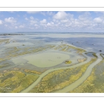 Grande marée en baie de Somme - coefficient de 104