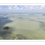 Grande marée en baie de Somme - coefficient de 104