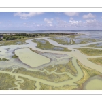 Grande marée en baie de Somme - coefficient de 104