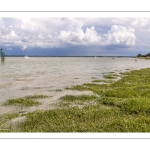 Grande marée en baie de Somme - coefficient de 104